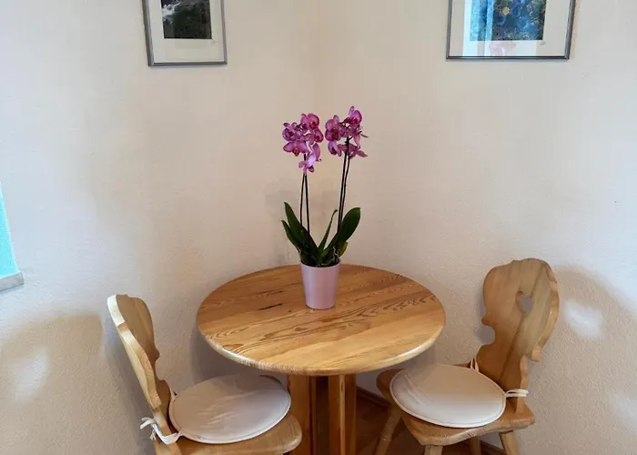 Rauchkofelblick Daire